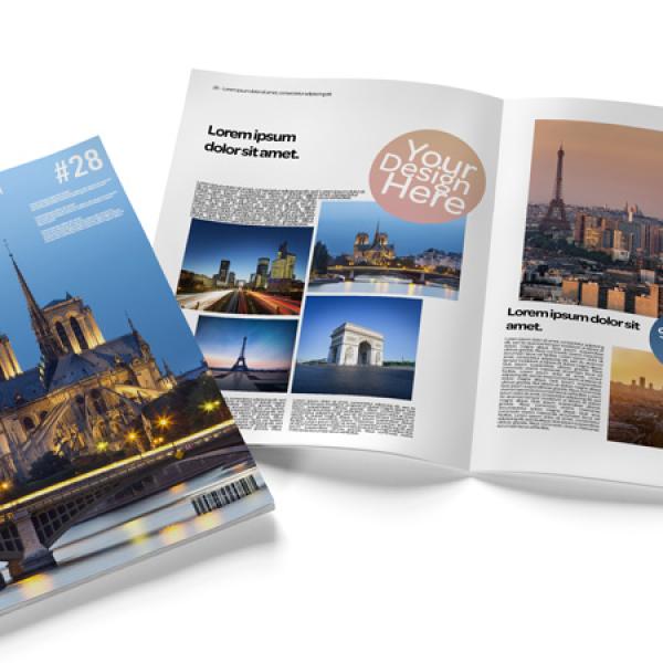 Executive summaries and brochures